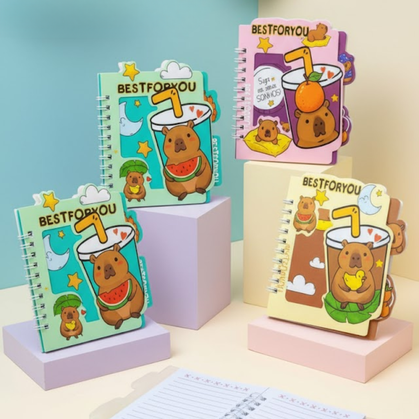 Capybara Diary - Small