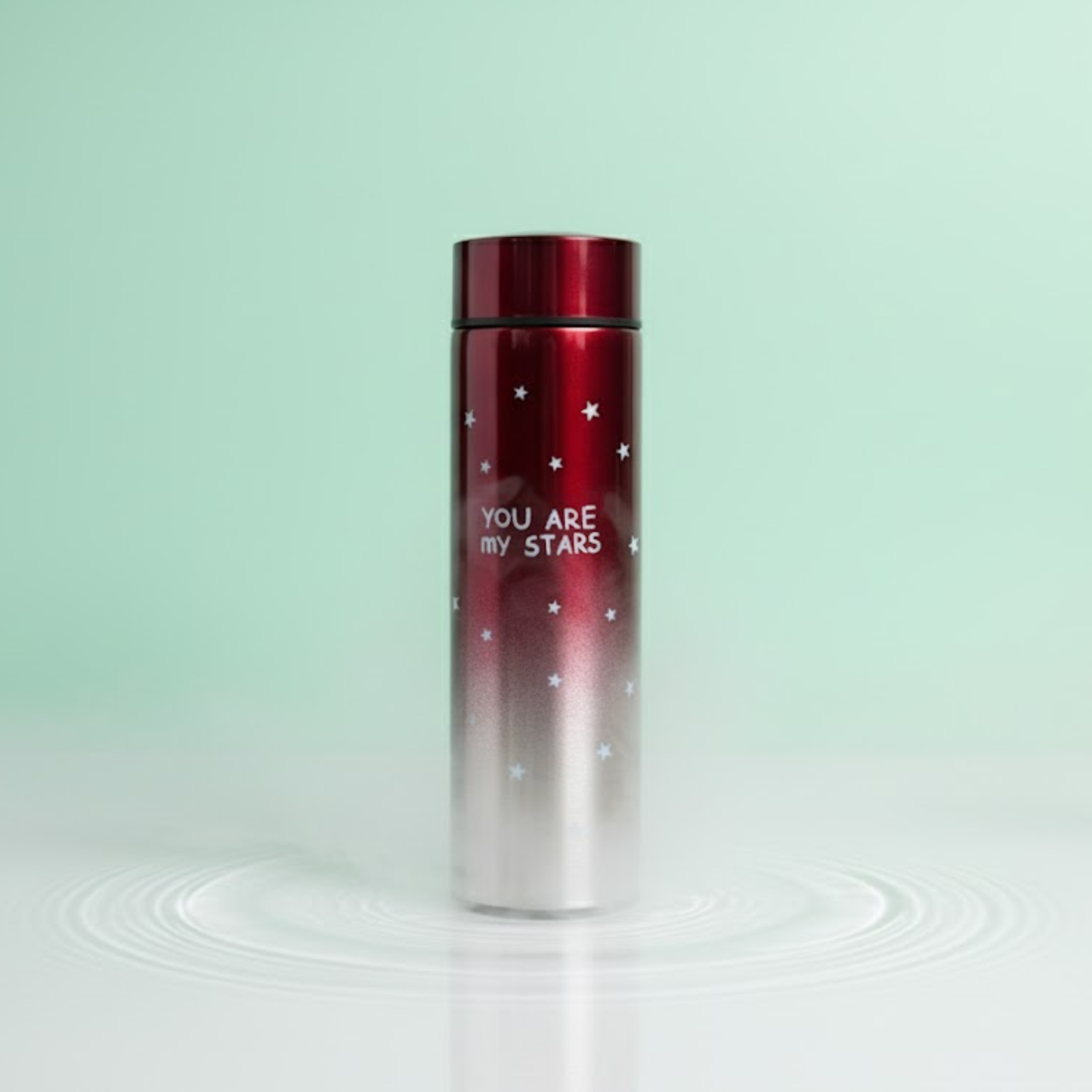 Star Design Temperature Display Insulated bottles - 500ml